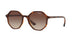 238613 - Brown Gradient