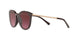33448H - Cordovan Gradient