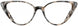 Cinzia CIN5142 Eyeglasses