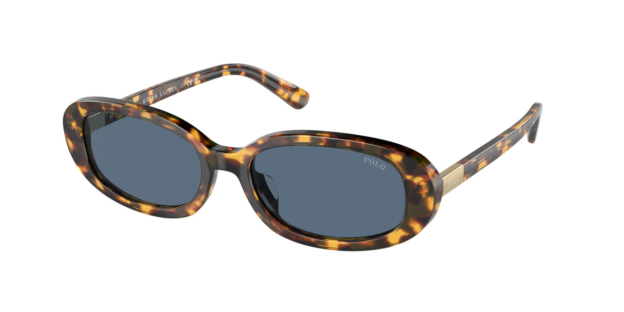 Polo 4198U Sunglasses