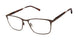 Ted Baker TM514 Eyeglasses