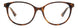 Polaroid Core PLDD467 Eyeglasses