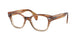 Ray-Ban 0880 Eyeglasses