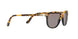 1088R5 - Havana - Grey
