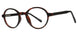 Tortoise - Tortoise Black