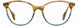 STATE Optical Co. WELLS Eyeglasses
