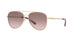101411 - Gold - Brown Pink Gradient