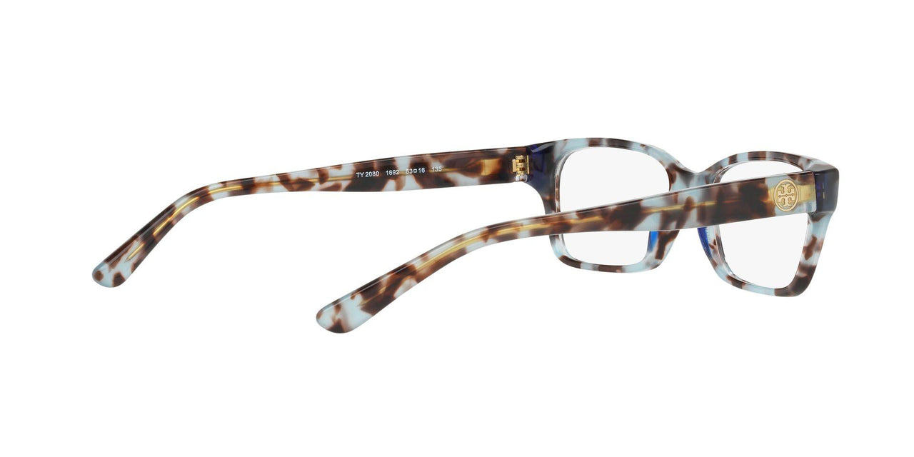 1692 - Blue Tortoise
