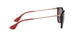 639175 - Dark Havana - Brown Mirror