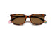 0086-SP - Dark Havana - Bronze Pz