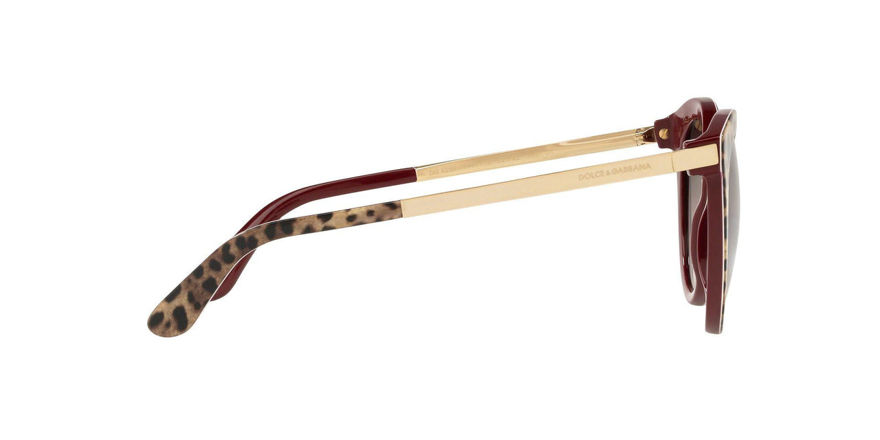 315513 - Multi - Brown Gradient