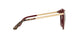 315513 - Multi - Brown Gradient