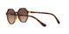 238613 - Brown Gradient