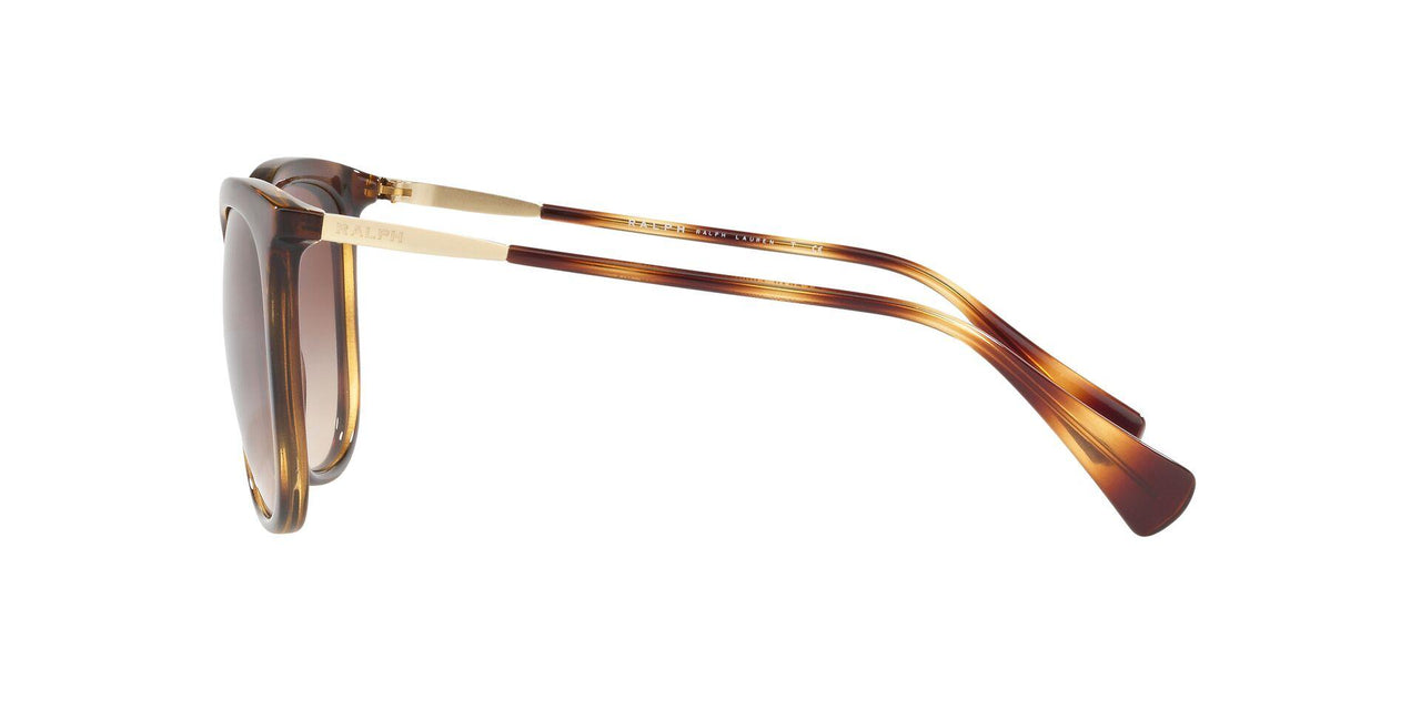500313 - Havana - Gradient Brown