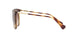 500313 - Havana - Gradient Brown