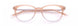 Paradigm 21-07 Eyeglasses