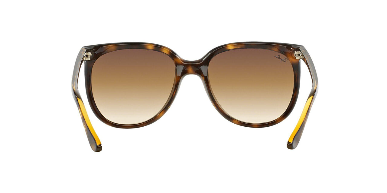 710/51 - Havana - Crystal Brown Gradient