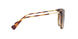 500313 - Havana - Gradient Brown