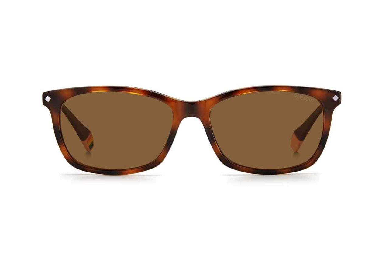 0086-SP - Dark Havana - Bronze Pz