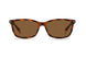 0086-SP - Dark Havana - Bronze Pz