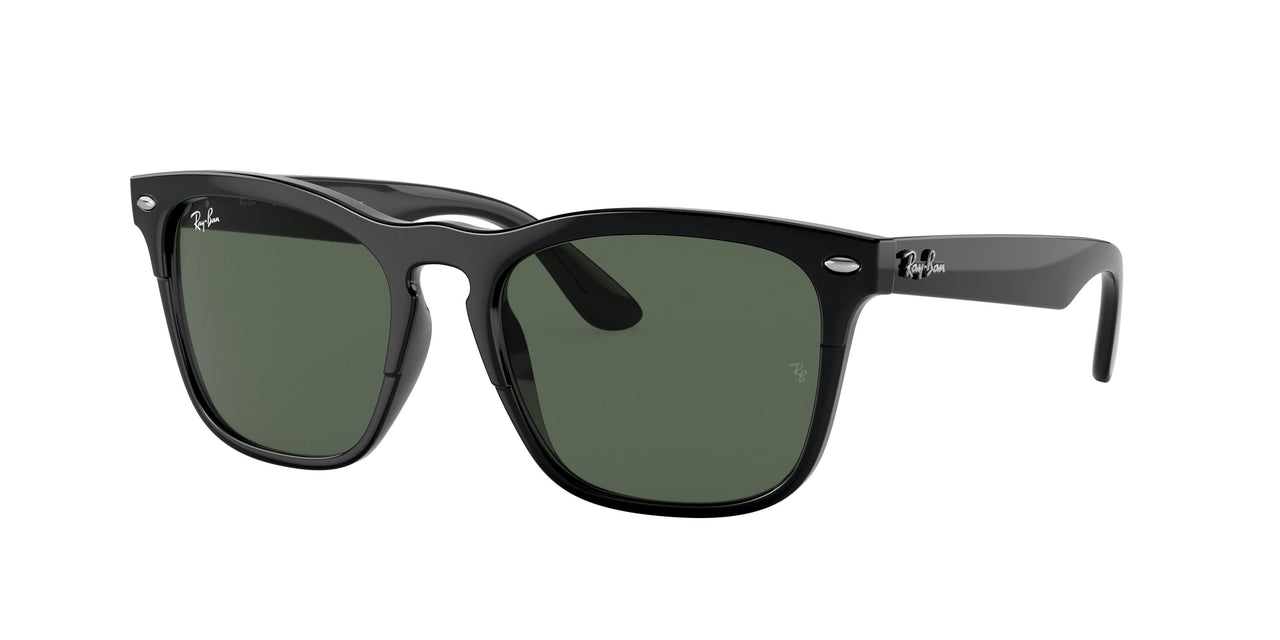Ray-Ban Steve 4487 Sunglasses