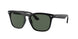 Ray-Ban Steve 4487 Sunglasses