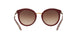 315513 - Multi - Brown Gradient