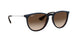 631513 - Trasparent Brown Sp Blue - Brown Gradient Dark Brown