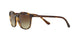 W65613 - Havana - Brown Gradient