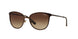 934S13 - Brown - Brown Gradient