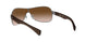 029/13 - Gunmetal - Brown Gradient