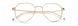 Paradigm 19-07 Eyeglasses