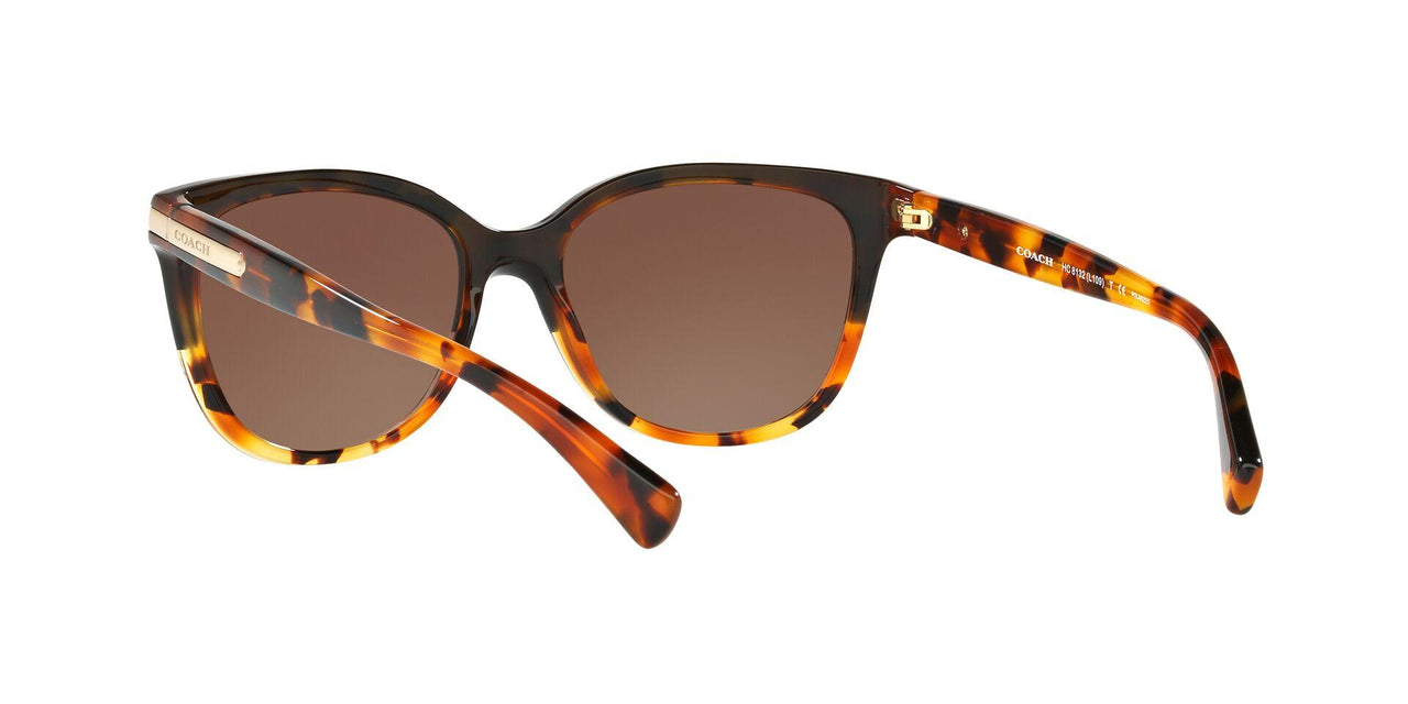 5438T5 - Havana - Brown Gradient Polar