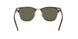 990/58 - Havana - Crystal Green Polarized