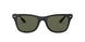 601S9A - Black - Polar Green