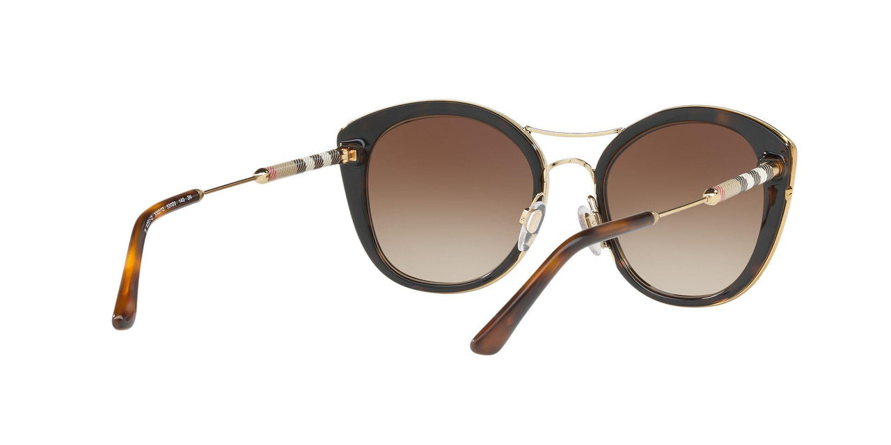 300213 - Havana - Brown Gradient