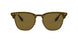 043/73 - Gold - Dark Brown