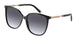 Tiffany 4184F Sunglasses