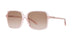 367813 - Pink - Brown Pink Gradient