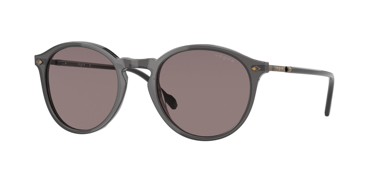 Vogue Eyewear 5432S Sunglasses
