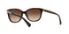 529113 - Havana - Dark Brown Gradient