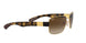 001/13 - Arista - Brown Gradient