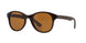 Ray-Ban 4203 Sunglasses