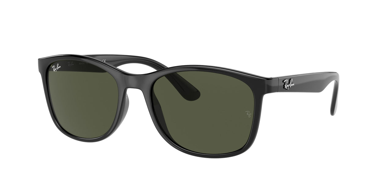 Ray-Ban 4374 Sunglasses