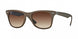 Ray-Ban Wayfarer Liteforce 4195 Sunglasses