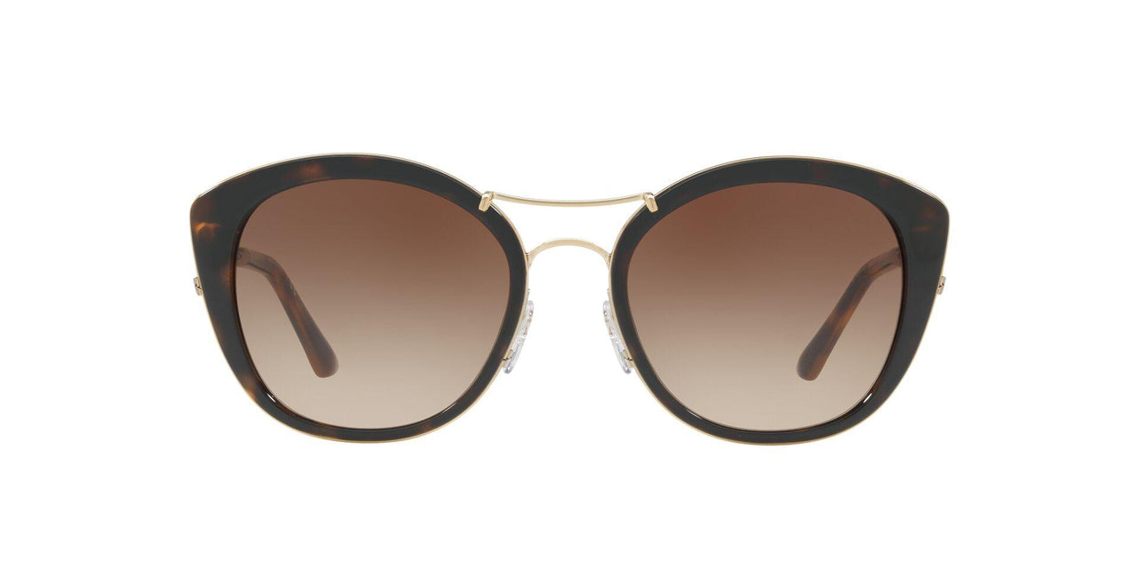 300213 - Havana - Brown Gradient