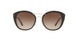 300213 - Havana - Brown Gradient