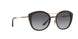 3001T3 - Black - Polar Grey Gradient