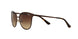 934S13 - Brown - Brown Gradient