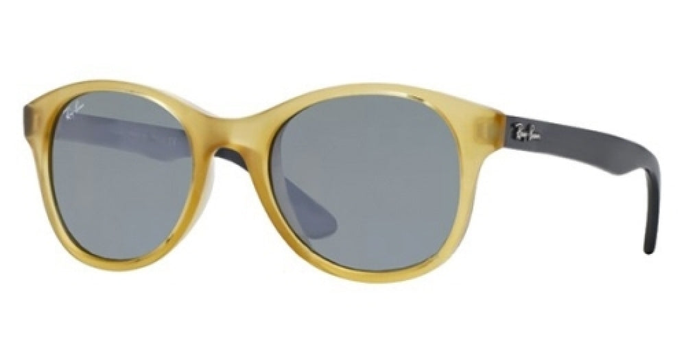 Ray-Ban 4203 Sunglasses